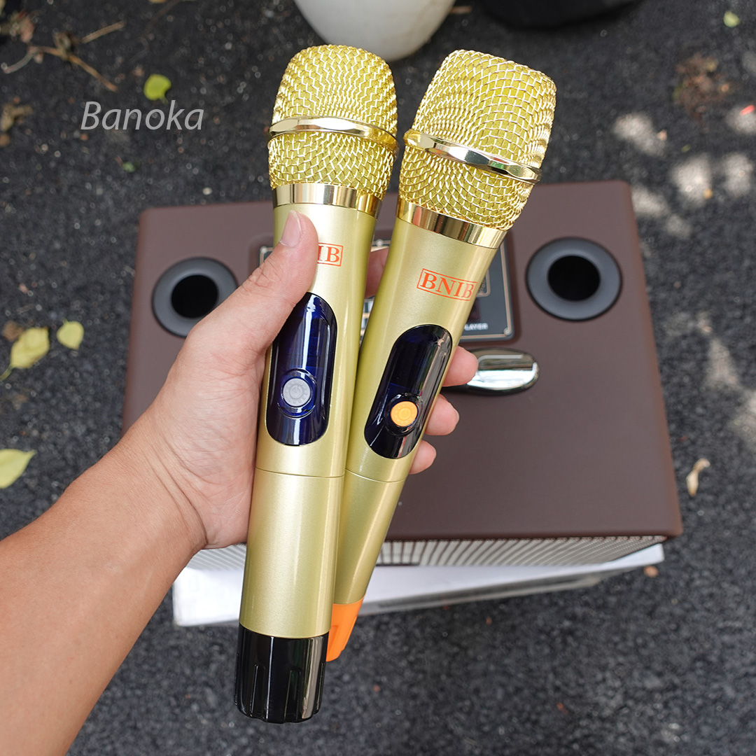 https://banoka.vn/loa xách tay karaoke BNIB BN-116 01 02